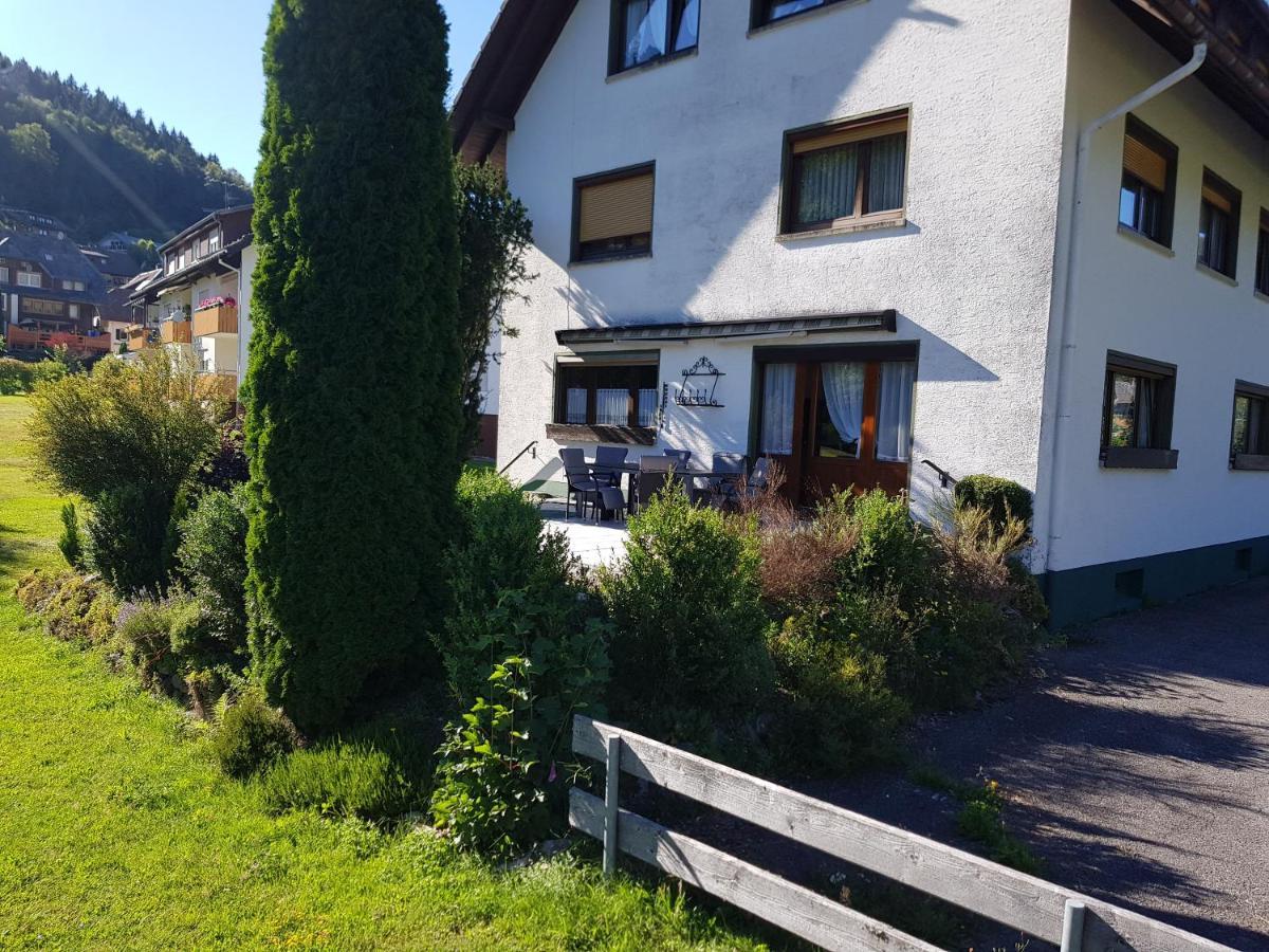 Am Wehrastrand App Eg *
